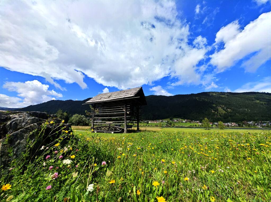 Rozkvetlá louka u Weissensee